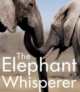 The elephant whisperer