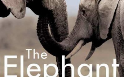 Elephants never forget