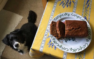 The most delicious date loaf ever