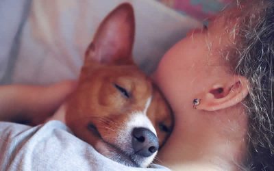 What is an Empath?