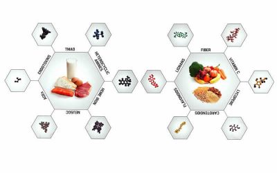 Game Changers Changing Dog Food