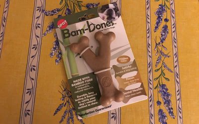 I couldn’t resist buying a Bambone!