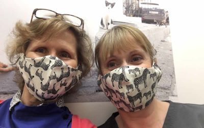 Veterinary work during the lockdown