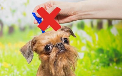 STOP using FLEA DROPS on your pets!