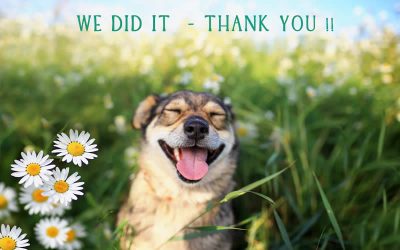 We did it!