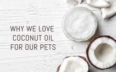 The benefits of coconut oil
