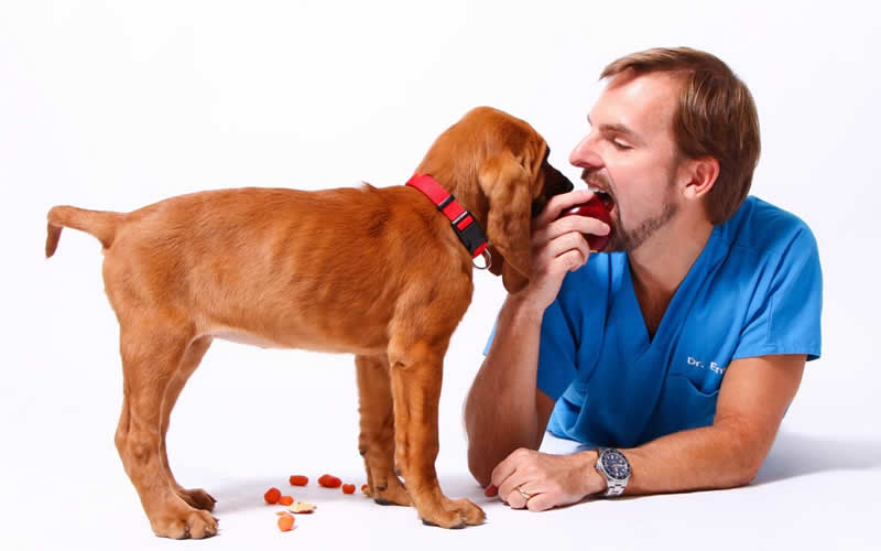 Dr Ernie Ward eating apple with a spaniel puppy