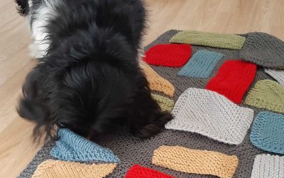 Barney loves his snuffle blanket