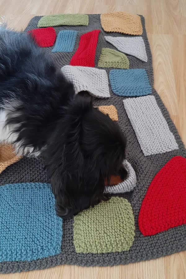 Snuffle blanket with Barney the Cavalier sniffing out plant-based dog treats