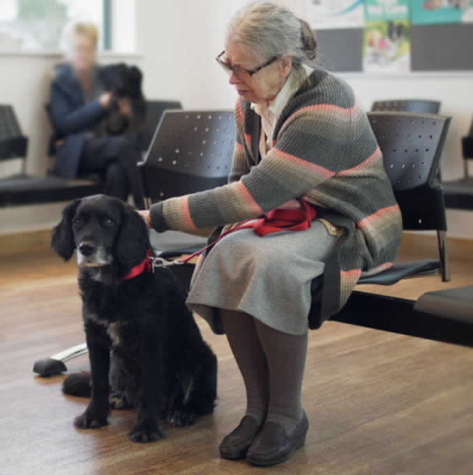 Elderly lady and dog waiting to see vet at PDSA