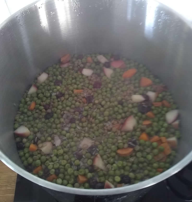 Large pot with all ingredients added for homemade plant-based puppy diet