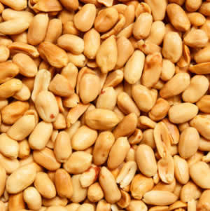 peanuts can be used as high nutrient treats for vegan dogs