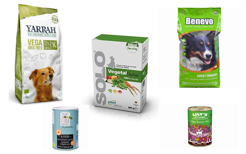 Vegan Dog Food Is Vegan Dog Food Good For Dogs?