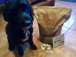 Cockapoo Rupert next to a bag of Greta complete dry plant-based dog food