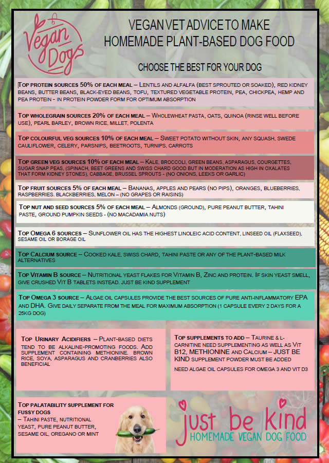 VET ADVICE TO MAKE HOMEMADE PLANTBASED DOG FOOD