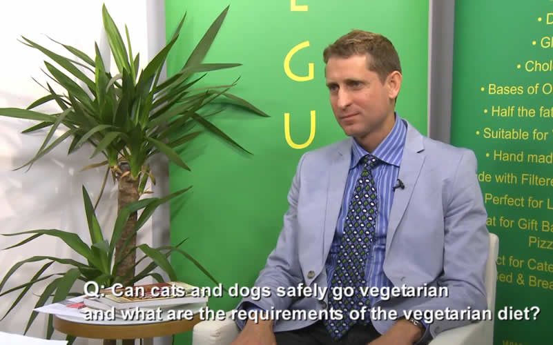prof andrew knight expaling the benefits of pets on a vegetarian diet