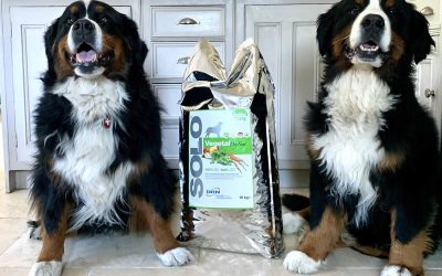 Bruno and Ruby are thrilled that we now sell 10kg Solo Vegetal!
