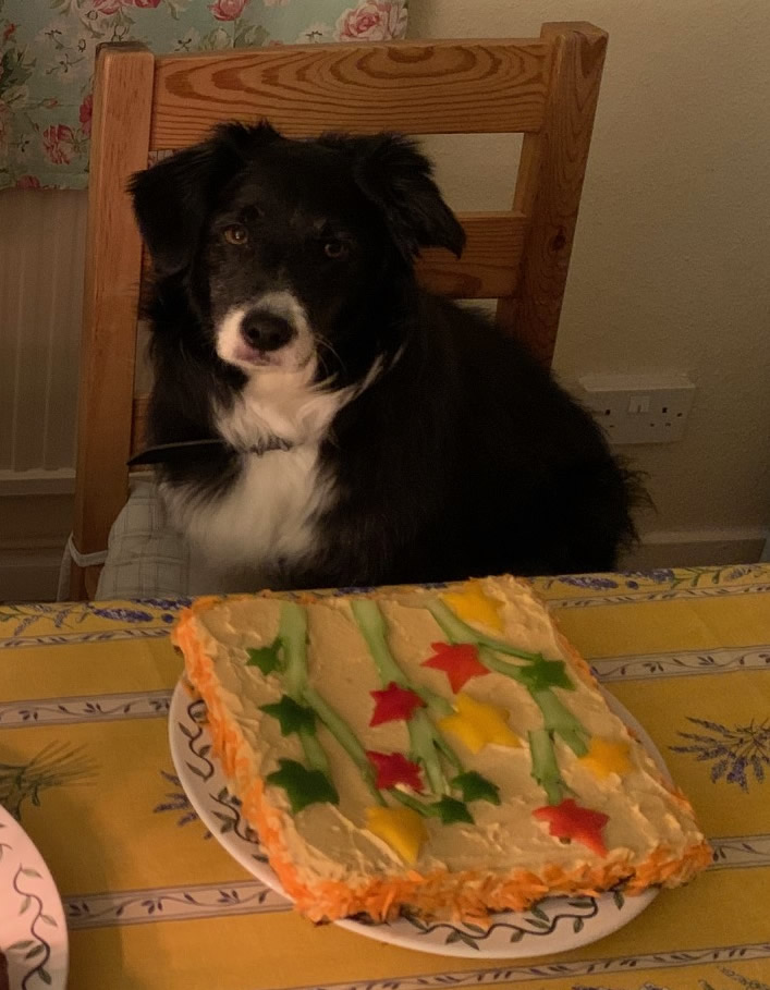 Ruff's homemade birthday cake