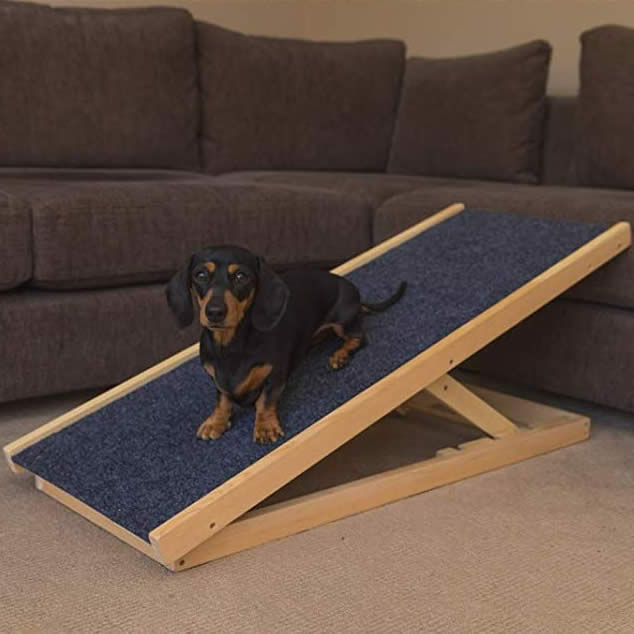 ramp for dogs