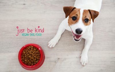 Vegan Dog Food Mentioned On ITV News!!