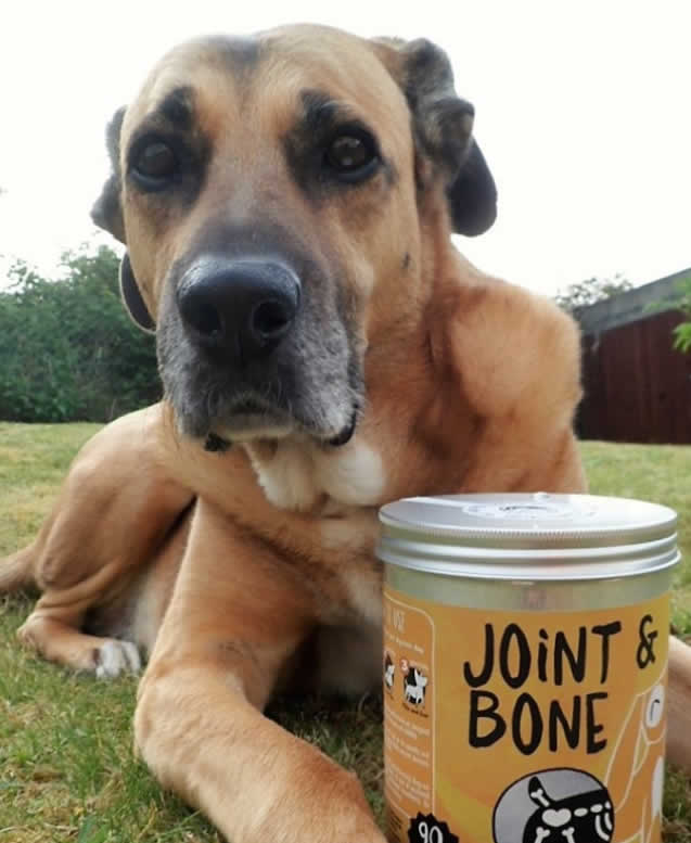 Tare Pets Joint and Bone Soft Chews