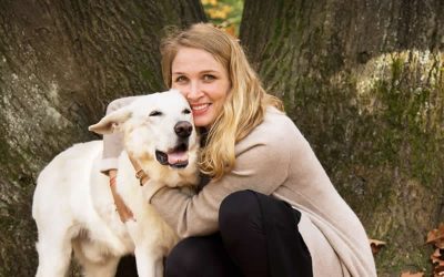 IBD and a vegan dog food diet