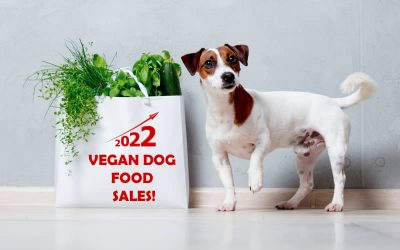 Vegan Dog Food Sales Surge in 2022