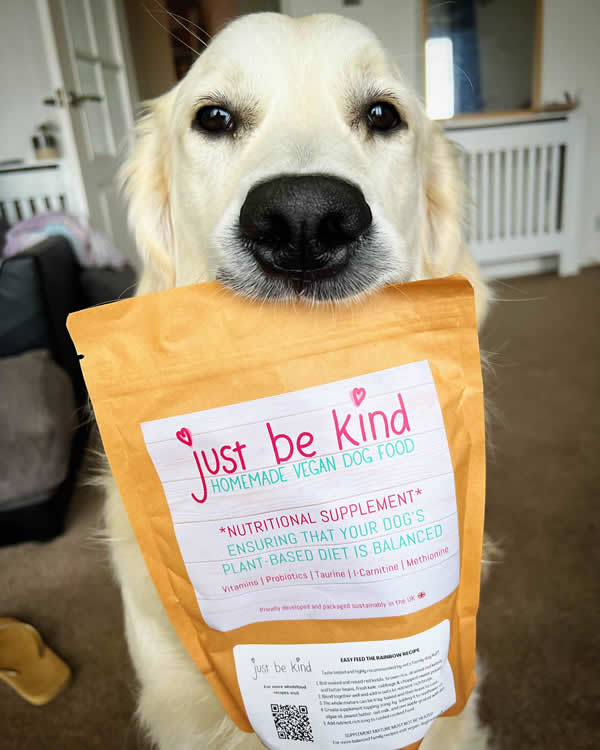 Vegan dog Frank the Golden Retriever and his homemade food with JUST BE KIND Supplement in his mouth