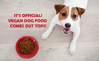 Groundbreaking News – Vegan Dog Food Diets The Healthiest!