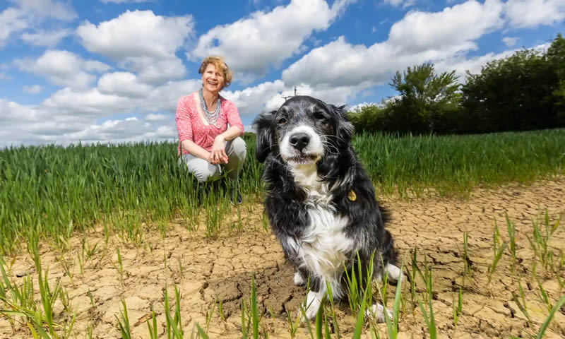 ‘The more plants you add into the diet, the healthier the pet will be’: Arielle Griffiths with her pet dog, Ruff. Photograph: Fabio De Paola/The Guardian