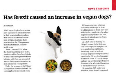 Has Brexit caused an increase in vegan dogs?