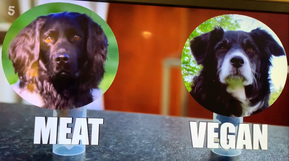 Alexis Conran's meat-eating dog Gelmer vs Ruff vegan dog belonging to Arielle Griffiths showing that vegan dog poo does not smell!