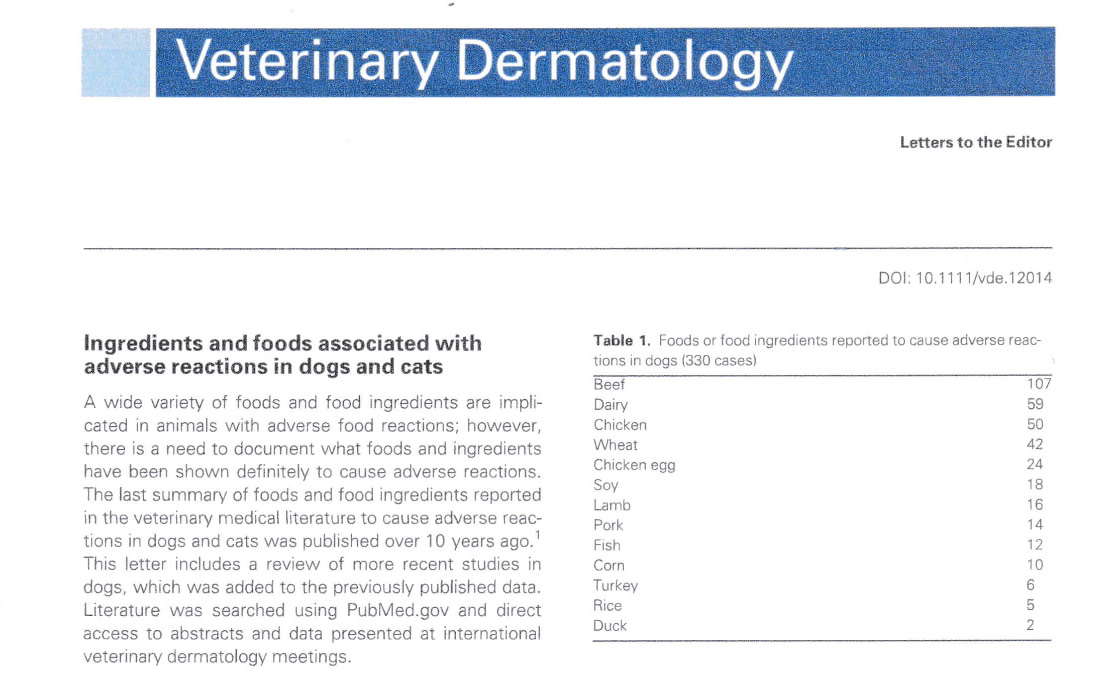 Veterinary dermatology article