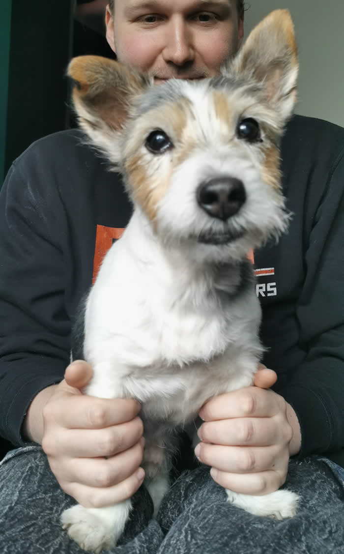 18 Years Old And Still A Puppy Vegan Dogs