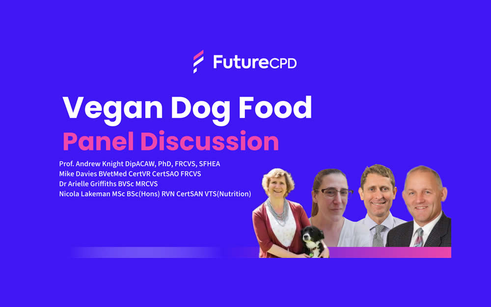 Vegan dog food panel discussion with Prof Andrew Knight and Dr Arielle Griffiths