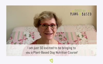 Our Plant-Based Dog Nutrition Course Launches!