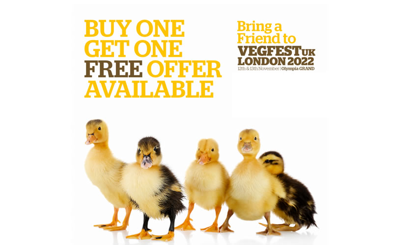 Vegfest 2022