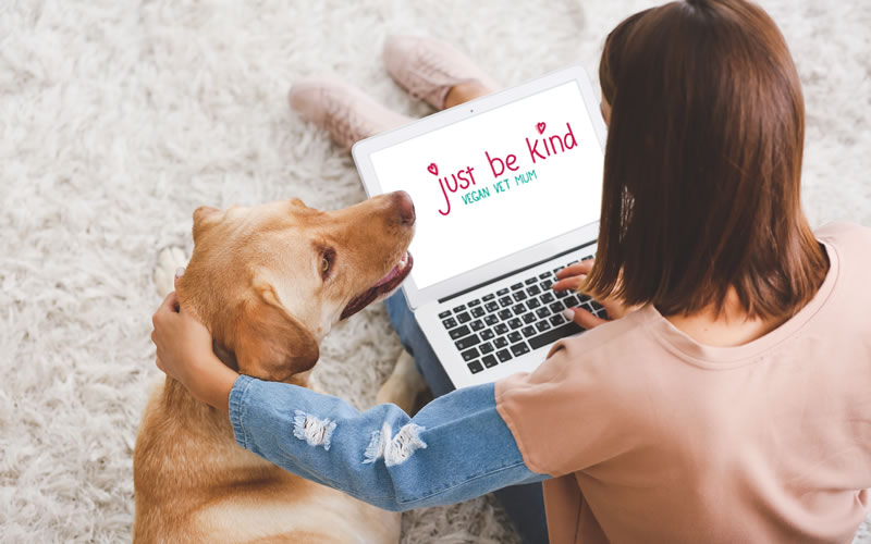 Dog and laptop
