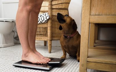 The importance of weight loss for us and our dogs