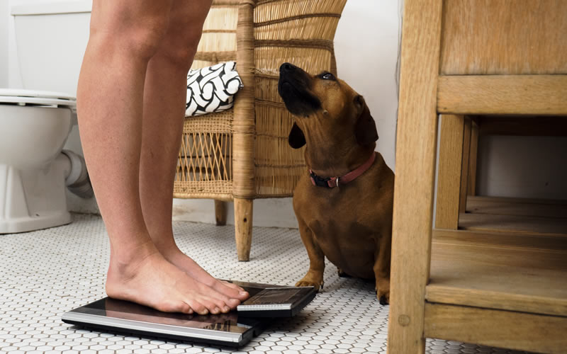 Weighing scales for owner and sausage dog