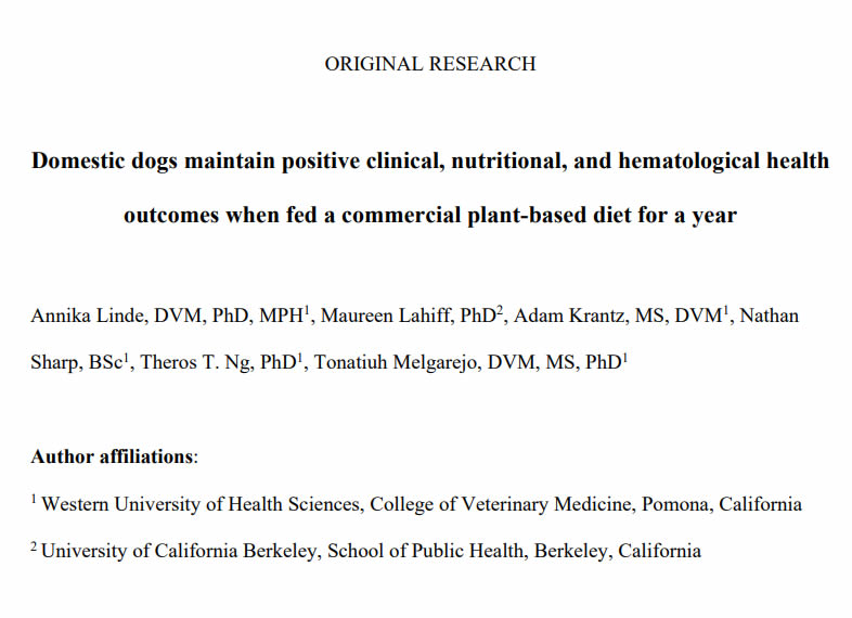 2023 PhD study by vets