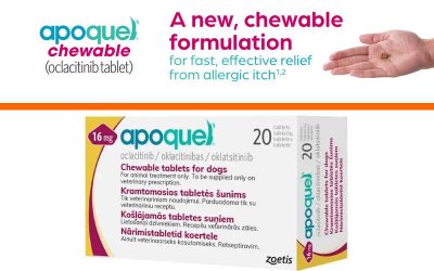 The side-effects of Apoquel