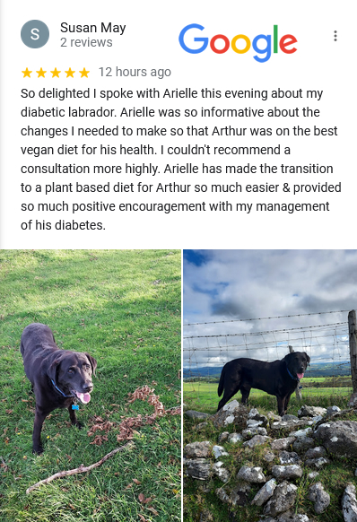 Google review Arthur diabetic Labrador