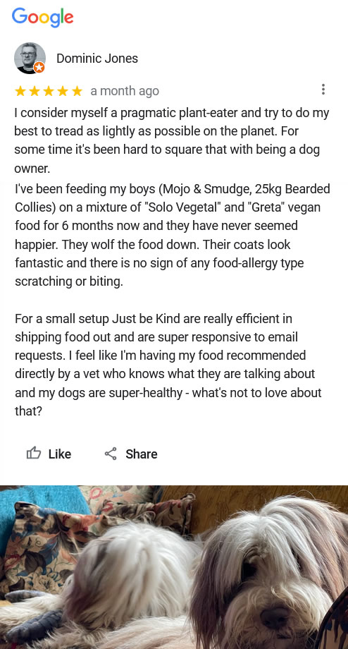 5 star Google review for Just be Kind Dog Food