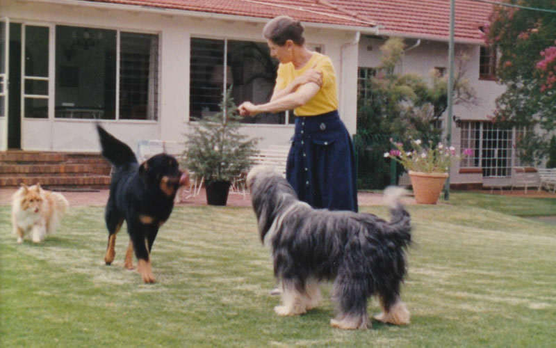Dr Arielle's Mum with family dog Bearded Collie Biddy in the 80's