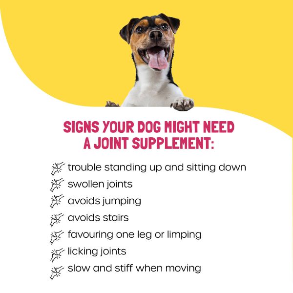 Gold Dust Dog Joint Supplement