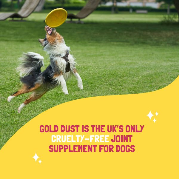 Gold Dust Dog Joint Supplement