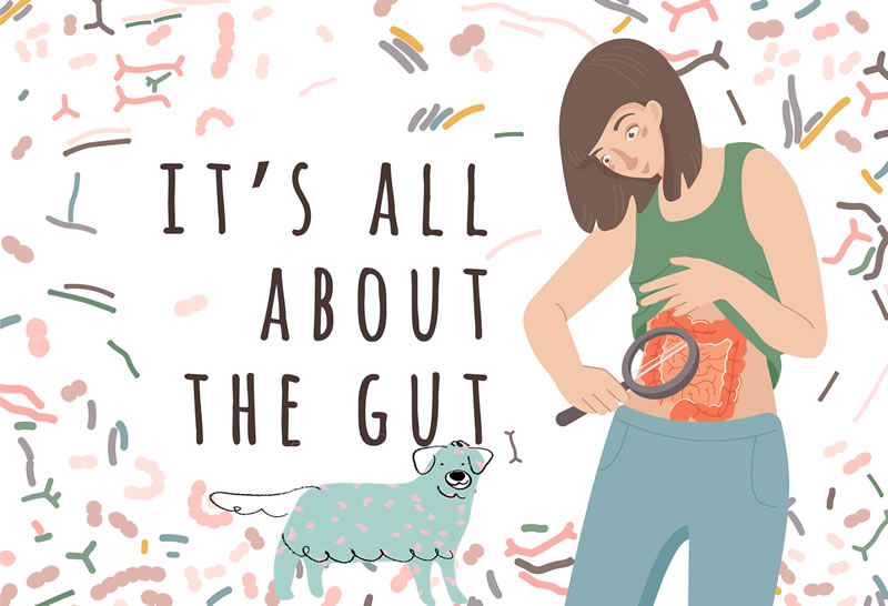 It's all about the gut