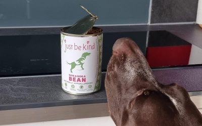 Give A Dog A Bean is SO tasty!